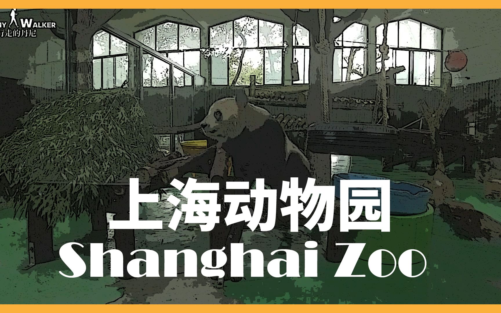 2021 上海动物园|初次到访带大家一起导览|shanghai zoo