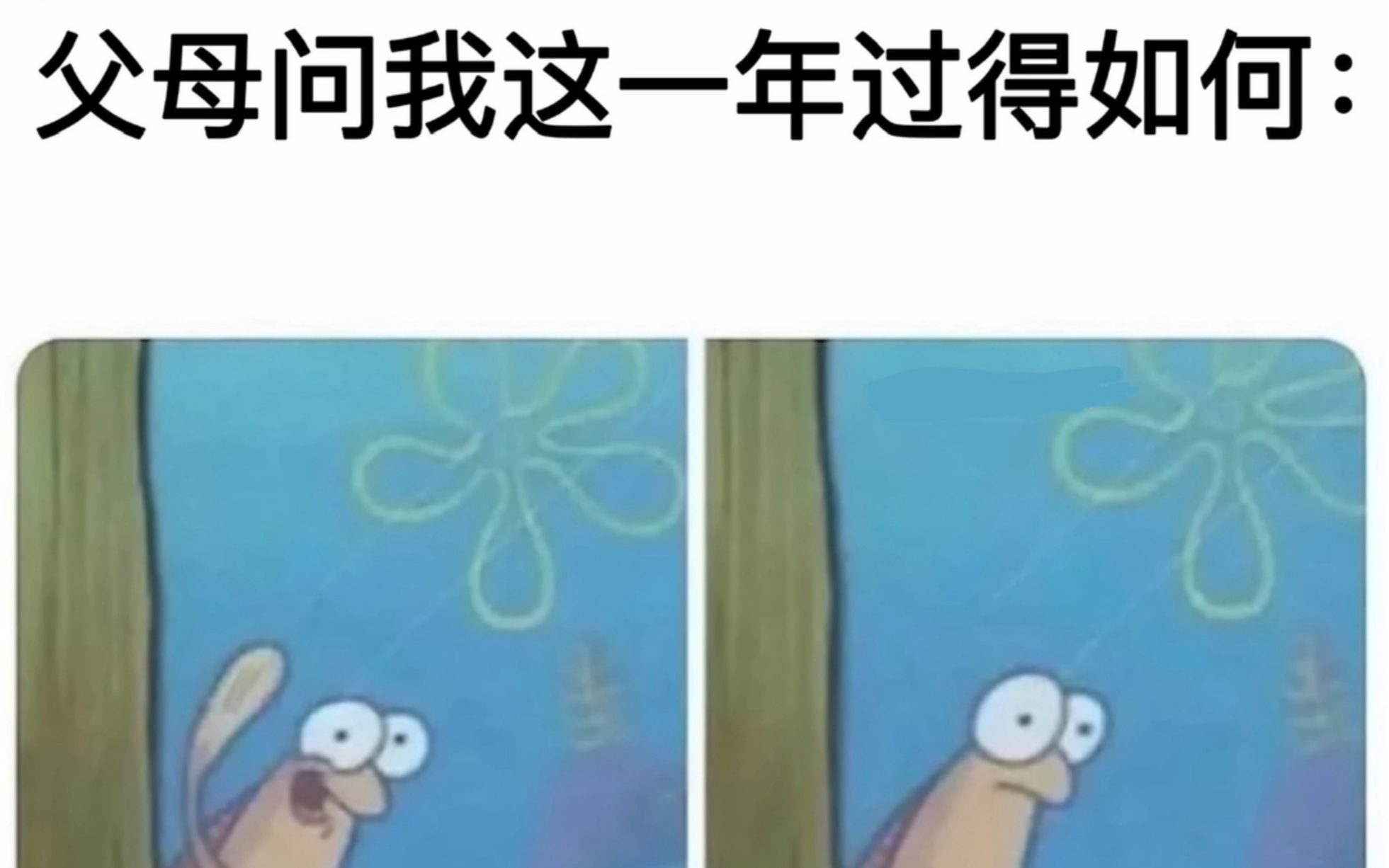 [图]｛人间真实精选网络沙雕梗图｝