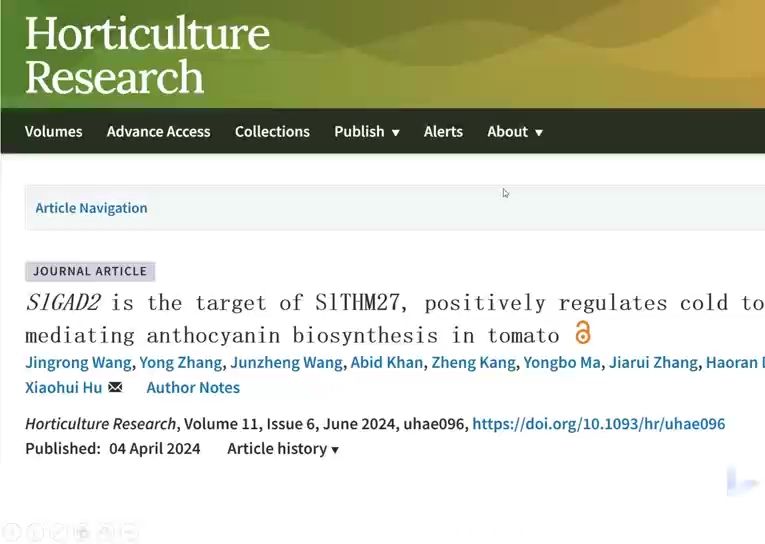 Horticulture Research番茄耐寒性文章;SlGAD2是SlTHM27的靶点,其介导花青素的生物合成正向调节番茄耐寒性哔哩哔哩bilibili