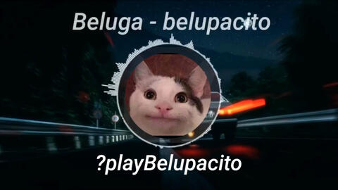 belupacito