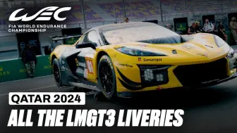 Download Video: 所有GT3涂装 2024世界耐力锦标赛 卡塔尔站