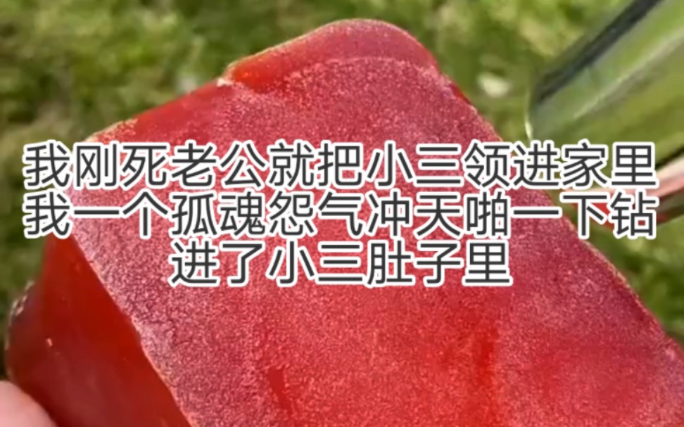 我一个孤魂怨气冲天啪一下钻进了小三肚子里