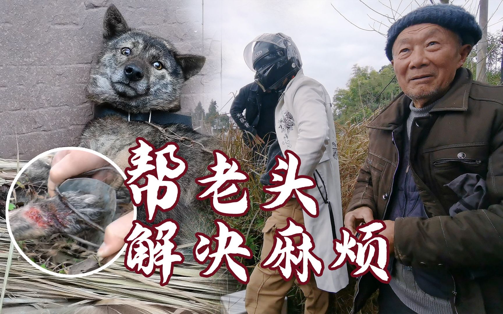 【老疯杨】帮老头解决麻烦_哔哩哔哩_bilibili