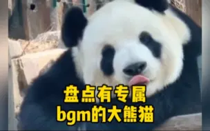 Download Video: 盘点有专属bgm的大熊猫，听歌识熊猫啦！