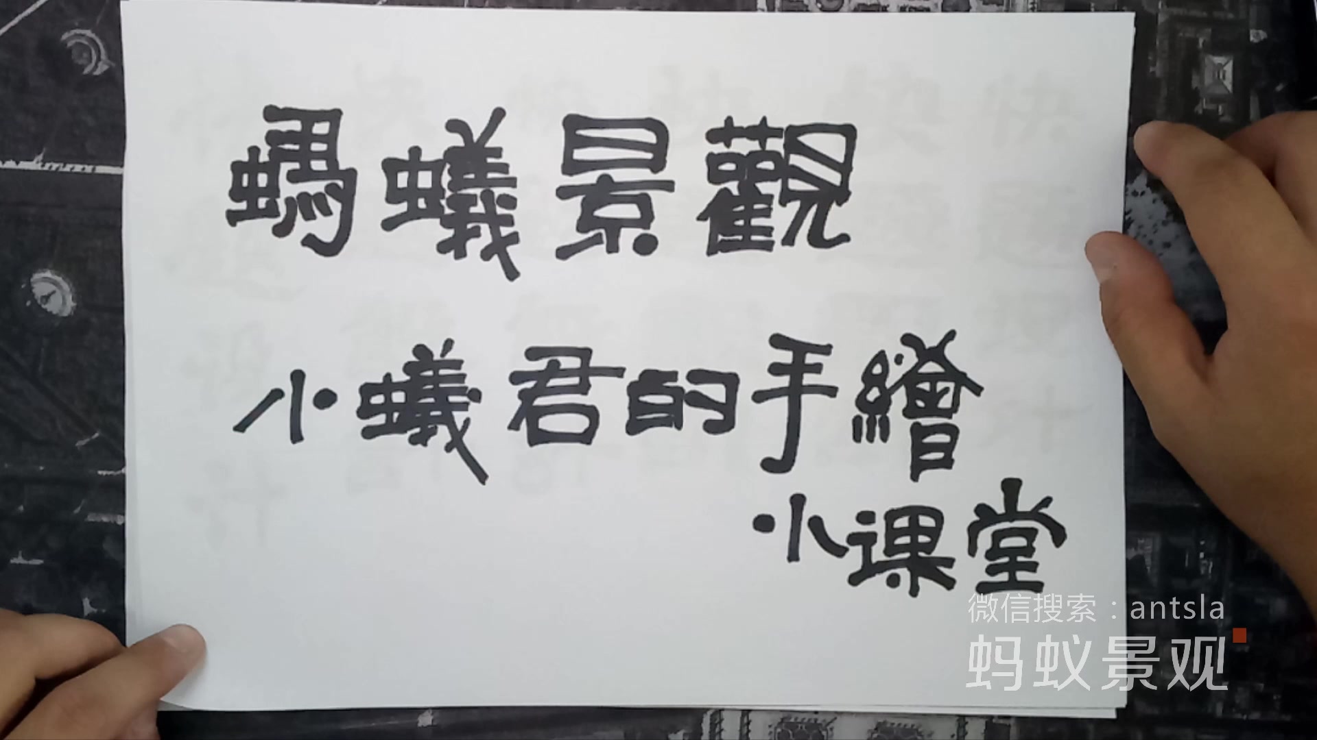 【考研快题】实心字教程(蚂蚁景观)哔哩哔哩bilibili