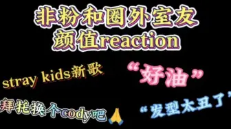 【Stray kids  锐评Reaction】圈外室友第一次看迷，内含颜值锐评 嘴毒（玻璃心勿入）