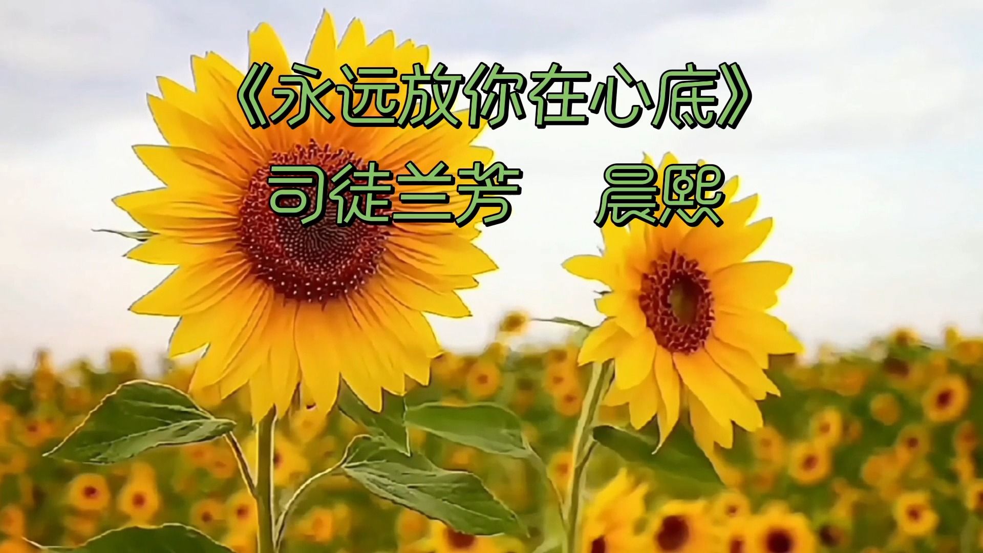 歌曲《永远放你在心底》