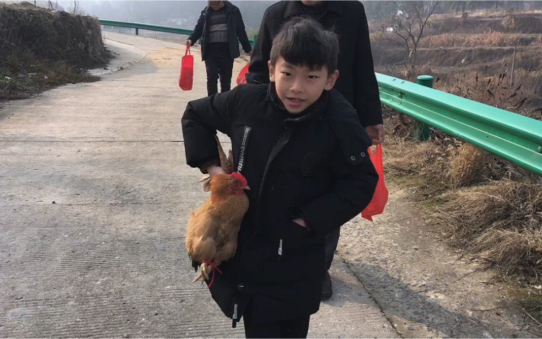 抓一只老母鸡走亲戚去