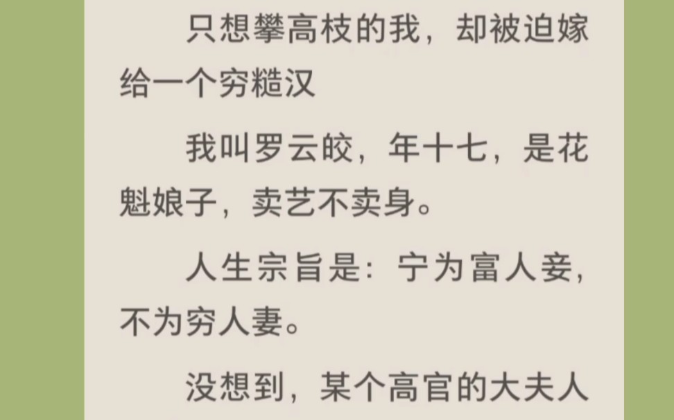 像攀高枝的我,却被迫嫁给一个穷糙汉.《被迫嫁木匠》哔哩哔哩bilibili