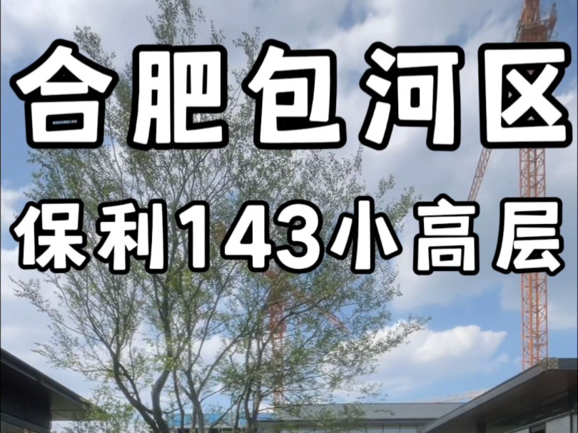 合肥包河区保利央企143一梯一户小高层哔哩哔哩bilibili