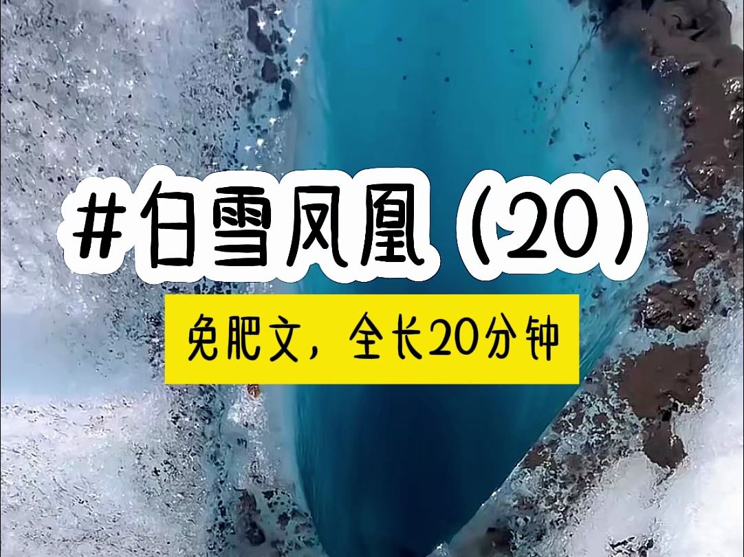 [图]茗《白雪凤凰》第20集