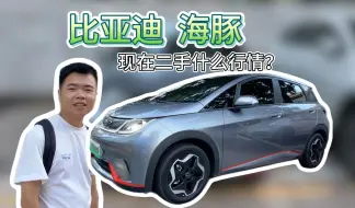 Descargar video: 二手的比亚迪海豚，现在什么行情？