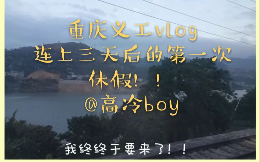 重庆青旅打工换宿vlog 义工旅行哔哩哔哩bilibili