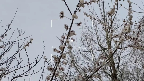 [图]教室门口的花花～