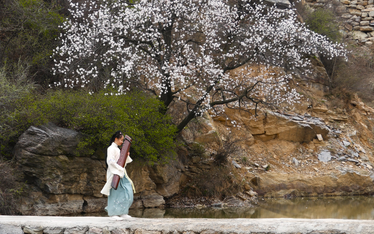 古风古琴当古琴邂逅桃花