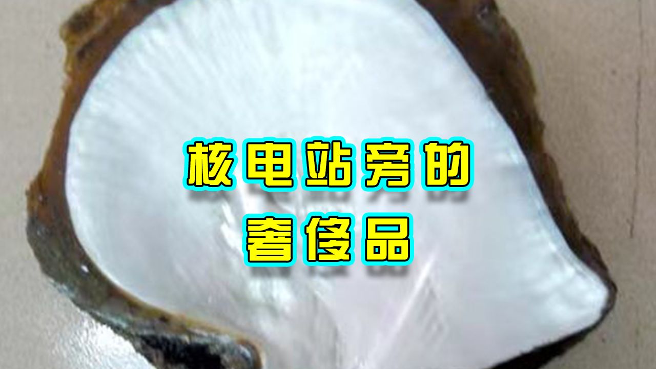 海南核电养殖白蝶贝成功,证明核电环境友好安全哔哩哔哩bilibili