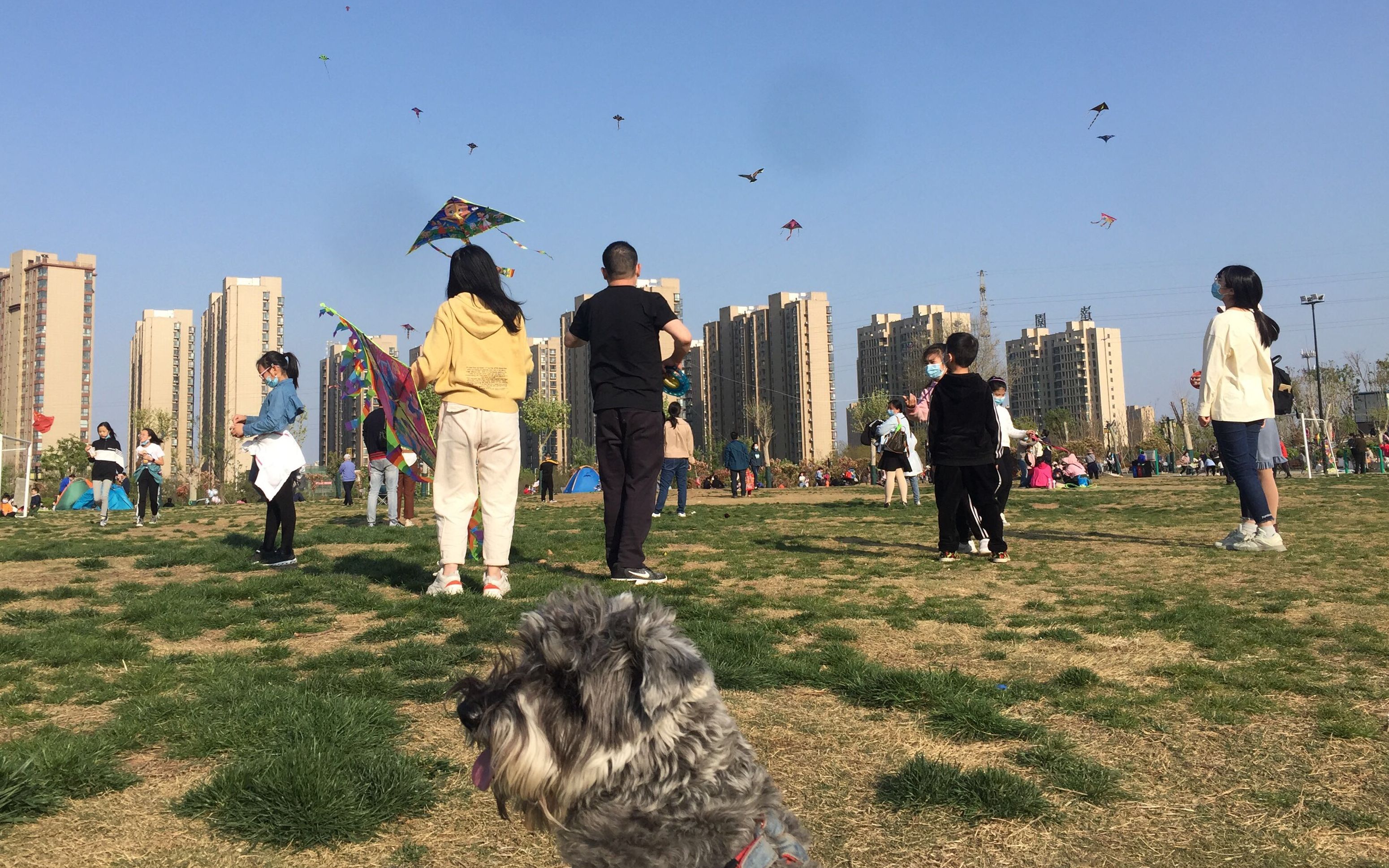 【春日里】人民群众逛公园/放风筝/踢足球/展歌喉/小乌龟/棉花糖/带上