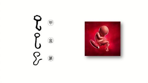 汉字树12 小孩子长得快 哔哩哔哩