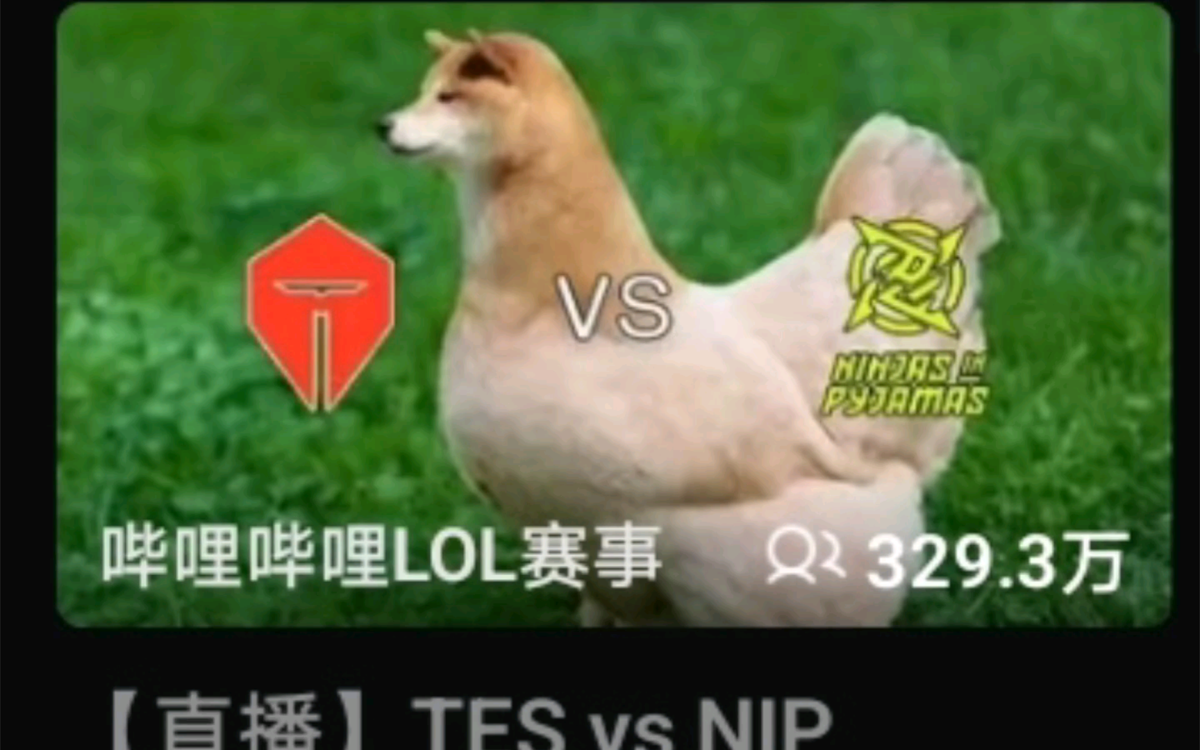 近期LPL比赛整活封面图哔哩哔哩bilibili