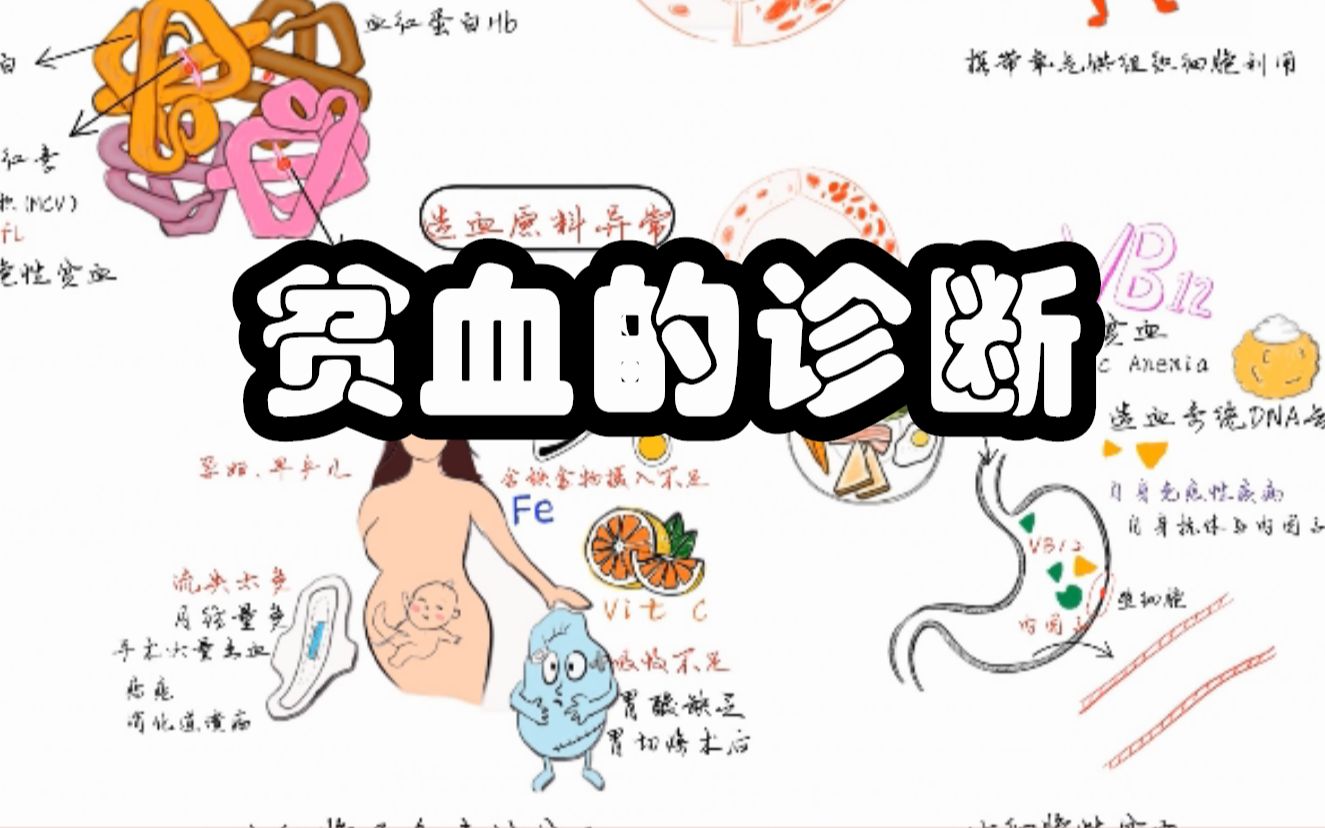 医学加油站 贫血的原因 诊断 以及怎么办?哔哩哔哩bilibili