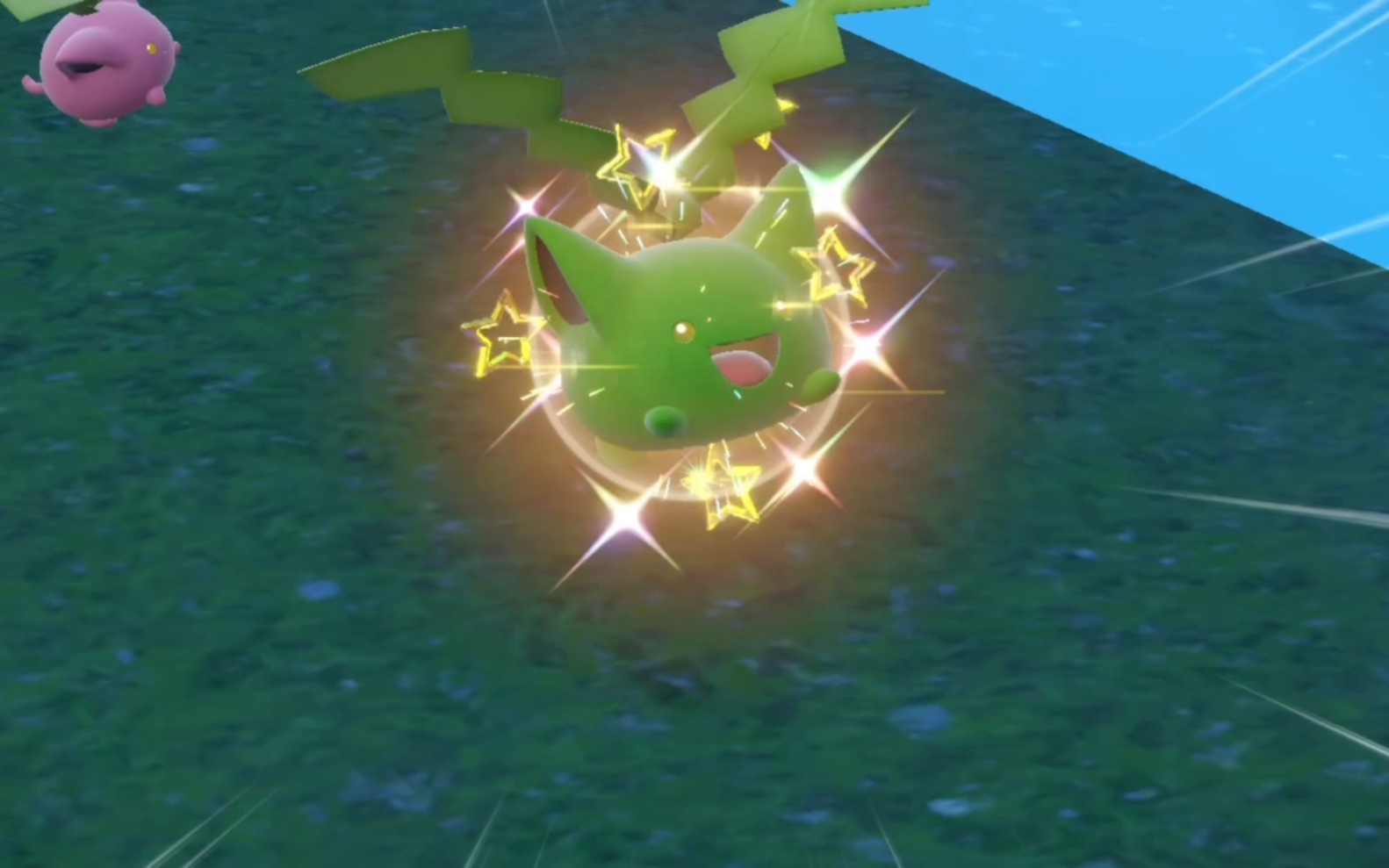 第二次路闪毽子草