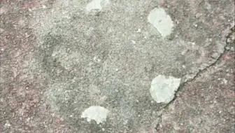塞尔达后遗症