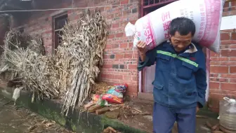 乡野树先生 余叔捉鸭去看三姐结果匆匆离去 哔哩哔哩 Bilibili