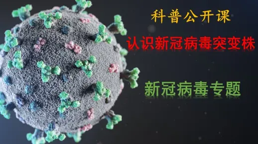 认识新冠病毒突变株(四)