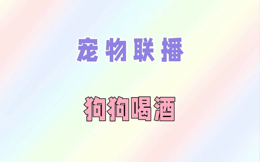 狗狗喝酒哔哩哔哩bilibili