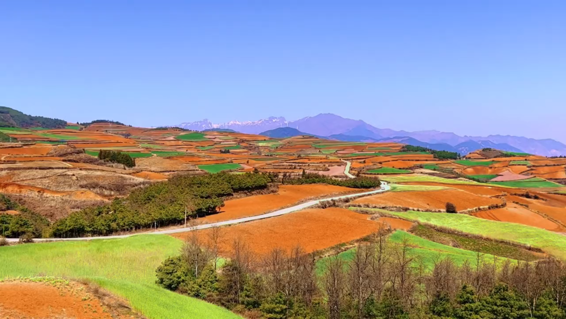 [图]中国东川红土地