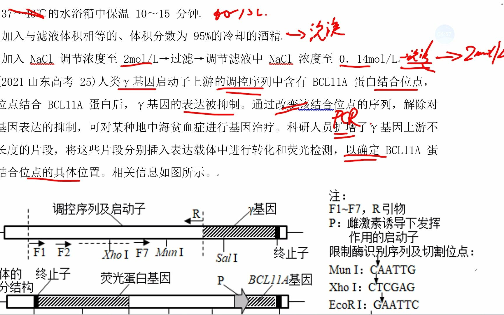 专题15基因工程哔哩哔哩bilibili