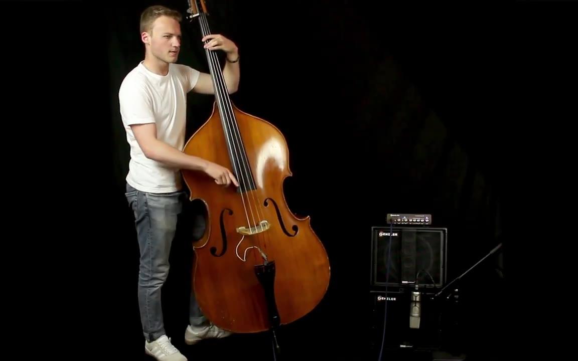 genzler amplification mg350 ba10-2低音提琴测试