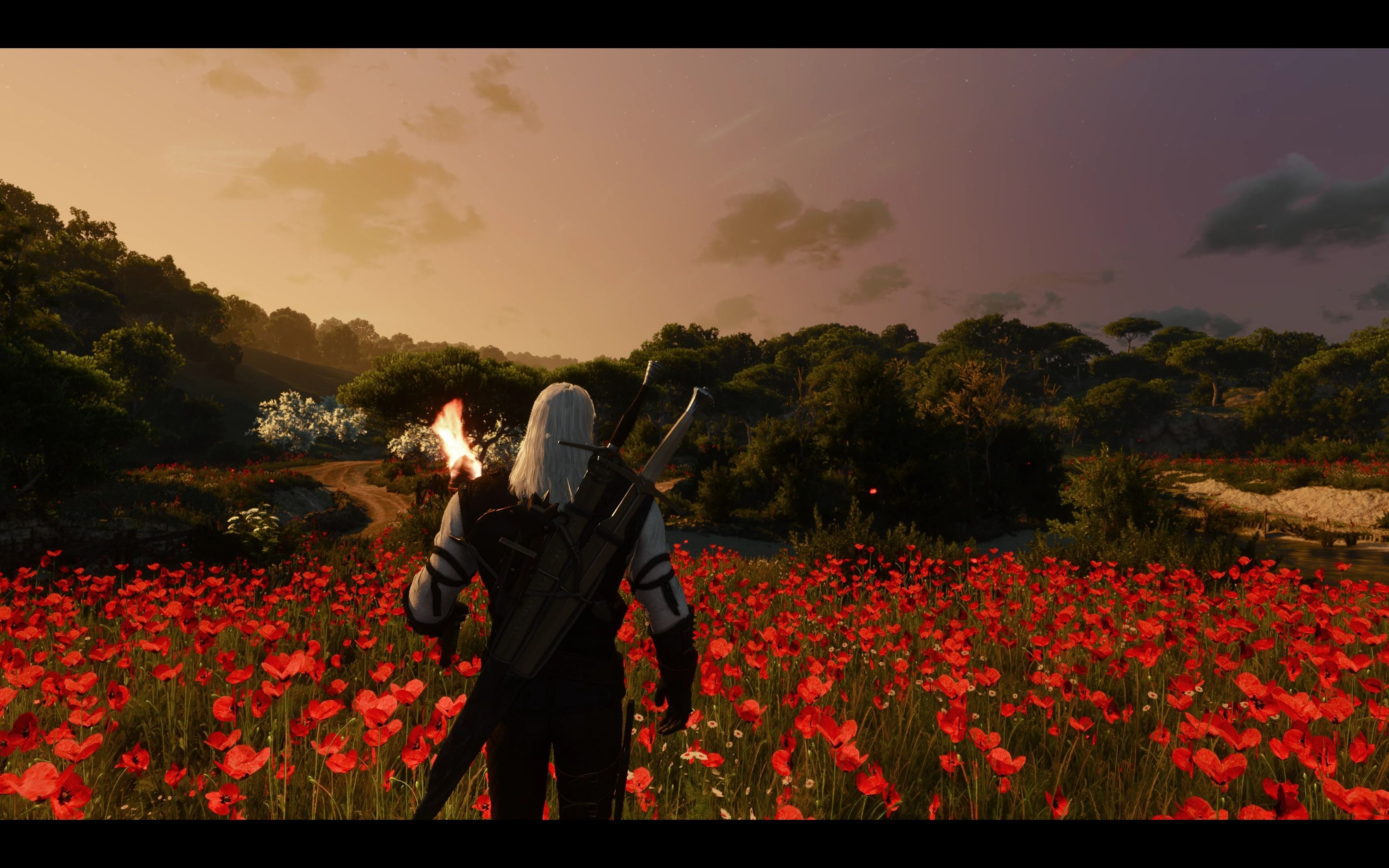 陶森特随便转转(627076)巫师3 1.32