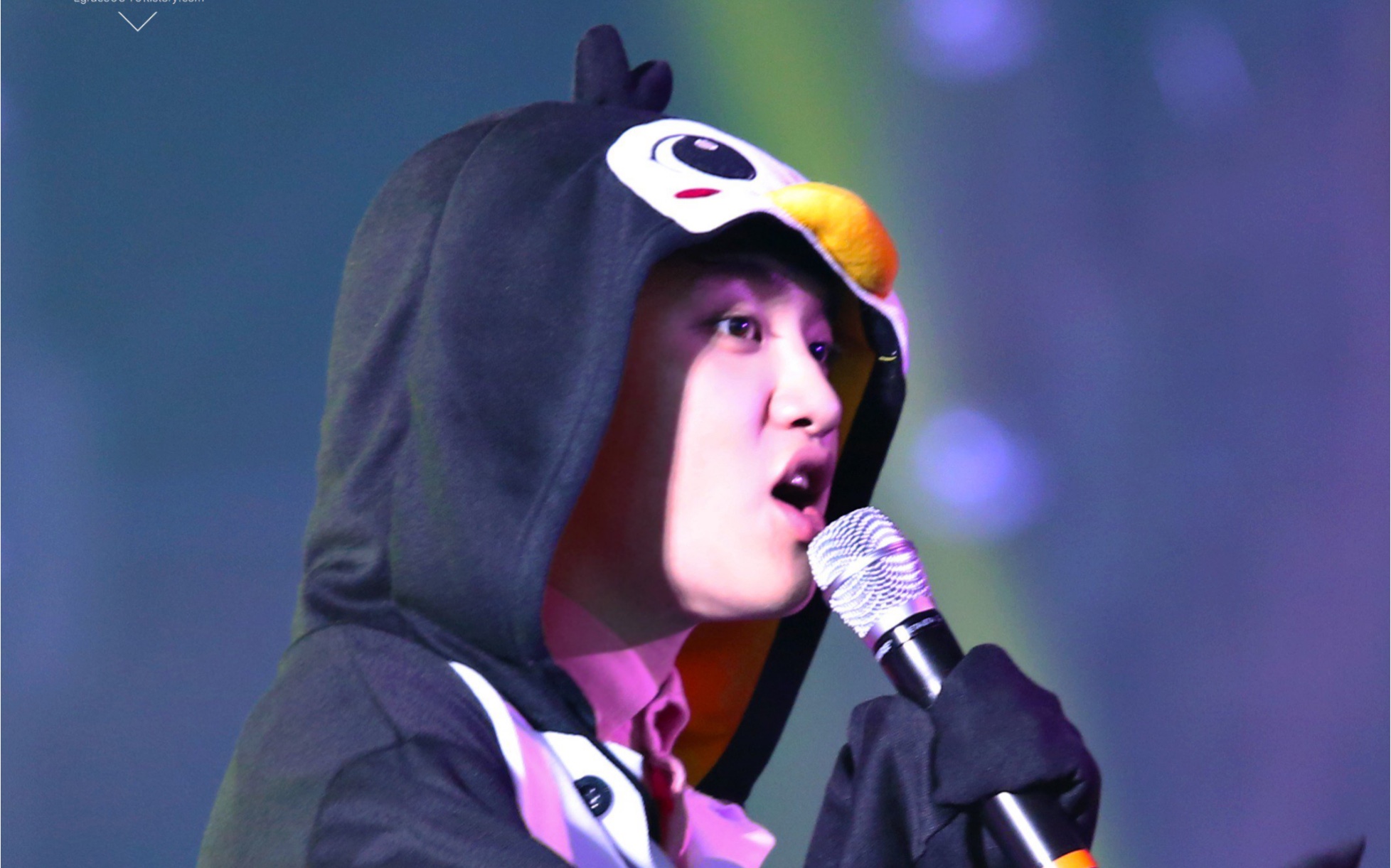 【都暻秀】那年今日160318 二巡首尔场 小企鹅哒哒哒