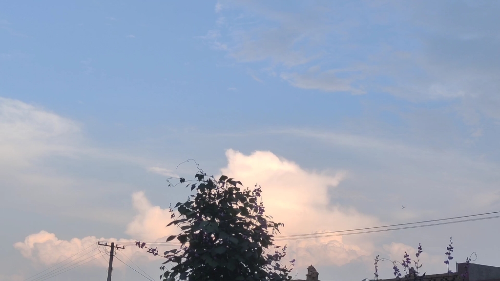 【自然】天气晴朗 心情舒畅