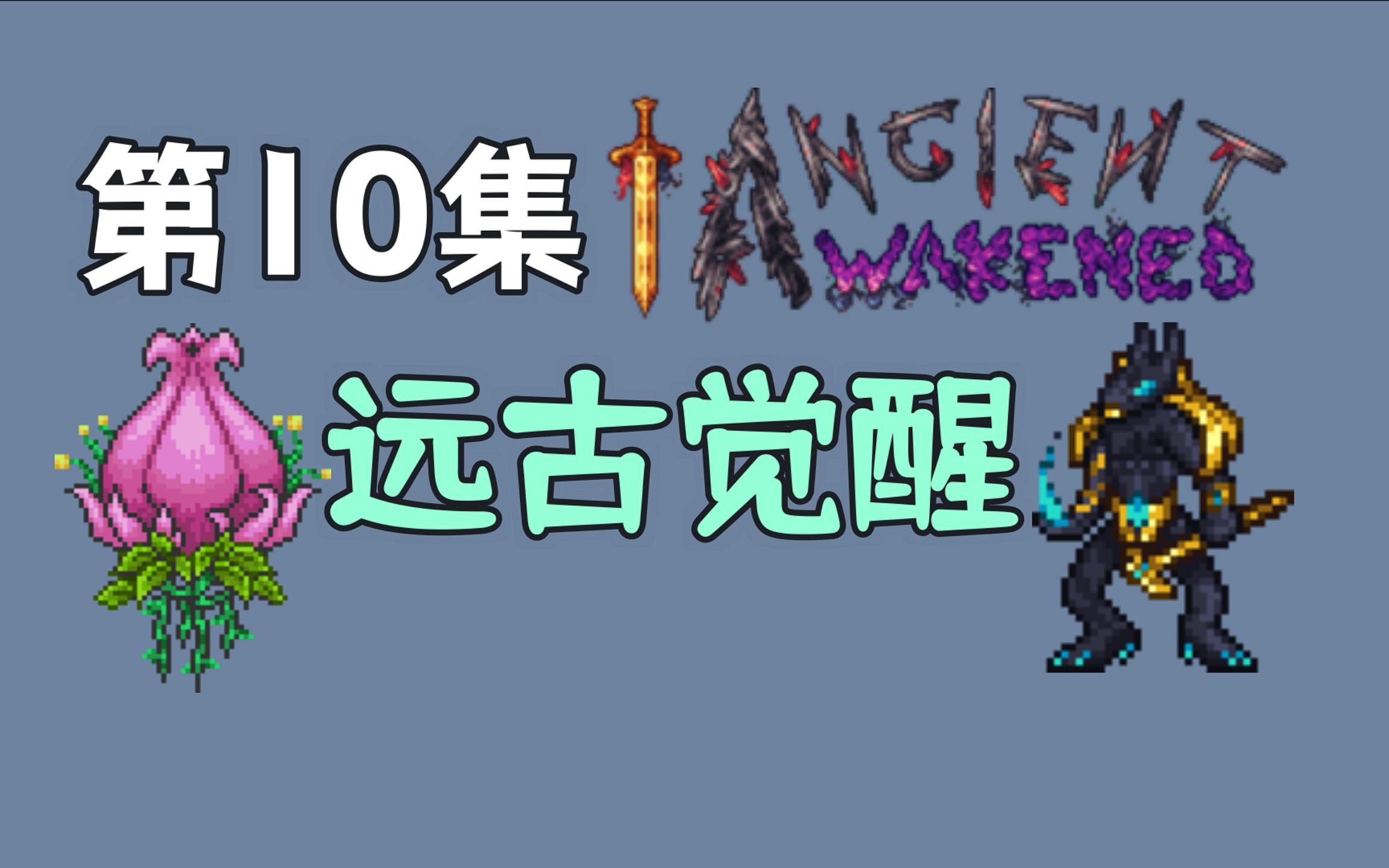 【泰拉瑞亚】远古觉醒10.世纪花花TERRARIA