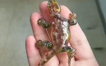 140东莞顺辰模型3D打印手板模型沙盘雕塑-全彩展示