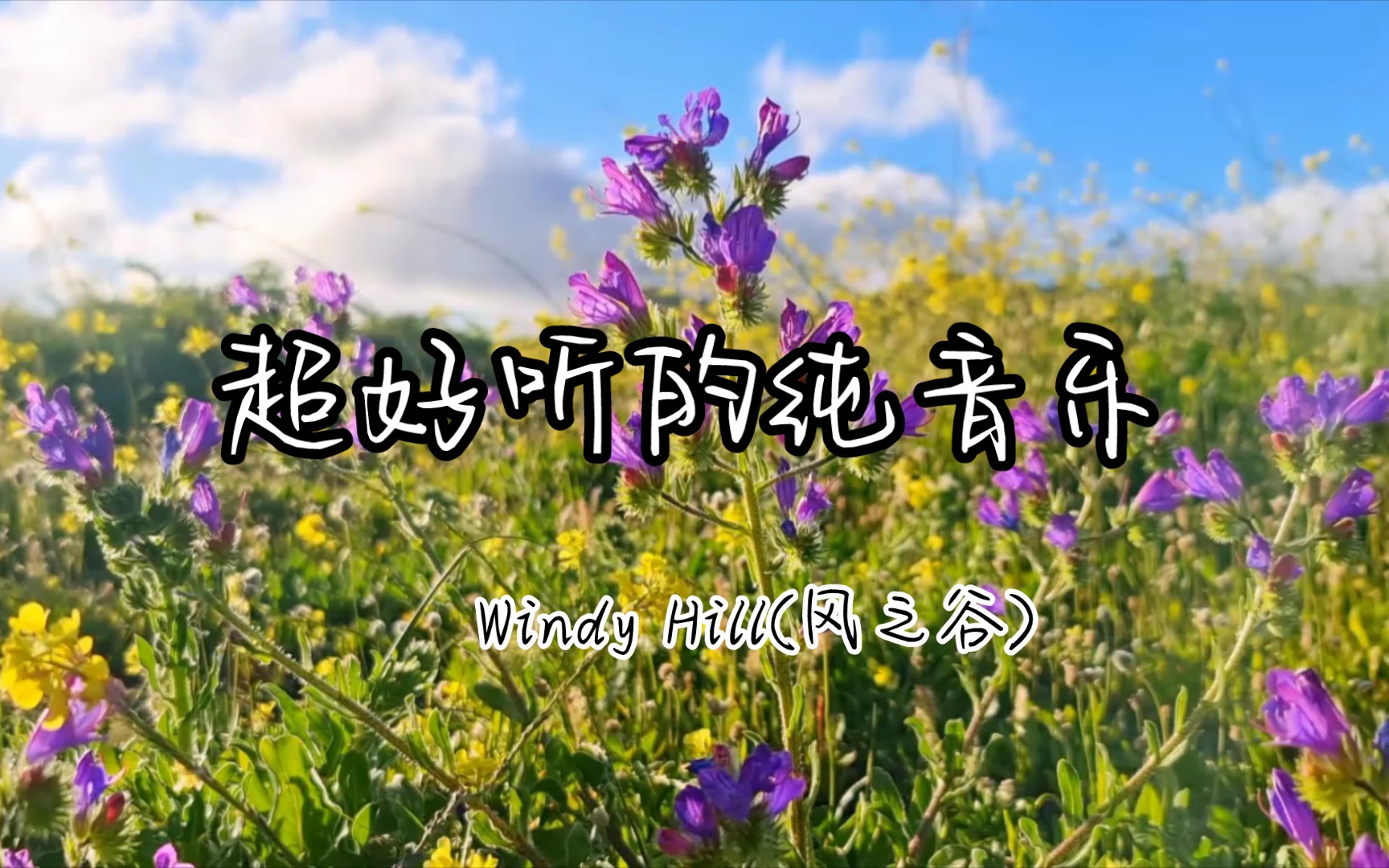 [图]Windy Hill(风之谷)的悠扬旋律，聆听自然的和鸣