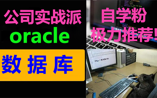 宜达互联Oracle数据库哔哩哔哩bilibili