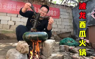 Tải video: 波龙西瓜火锅！300块买只波龙，用西瓜做火锅，最后有点尴尬！