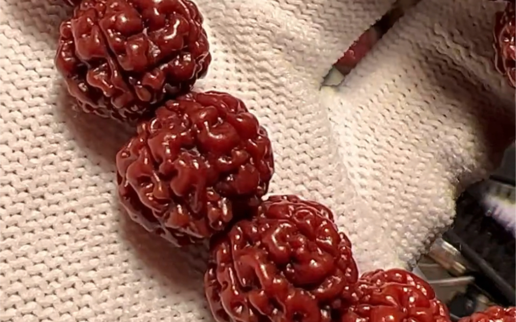 小金刚回血~牛津红