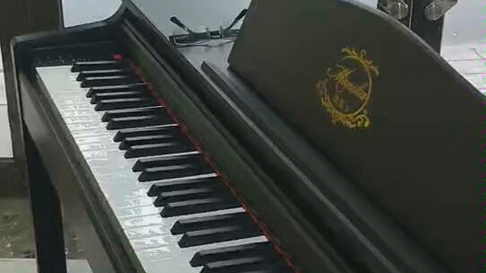 莫妮卡数码钢琴