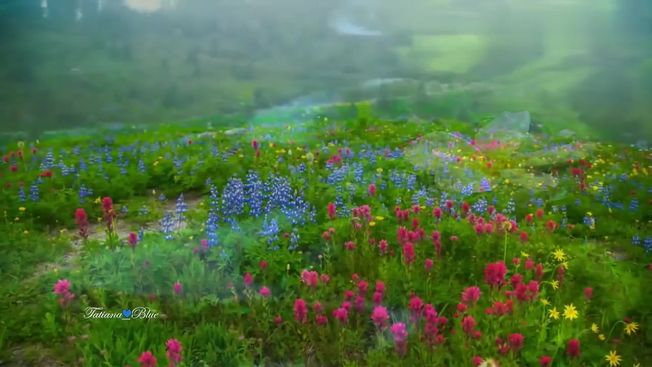 [图]leo rojas - Colors Of The Rainbow