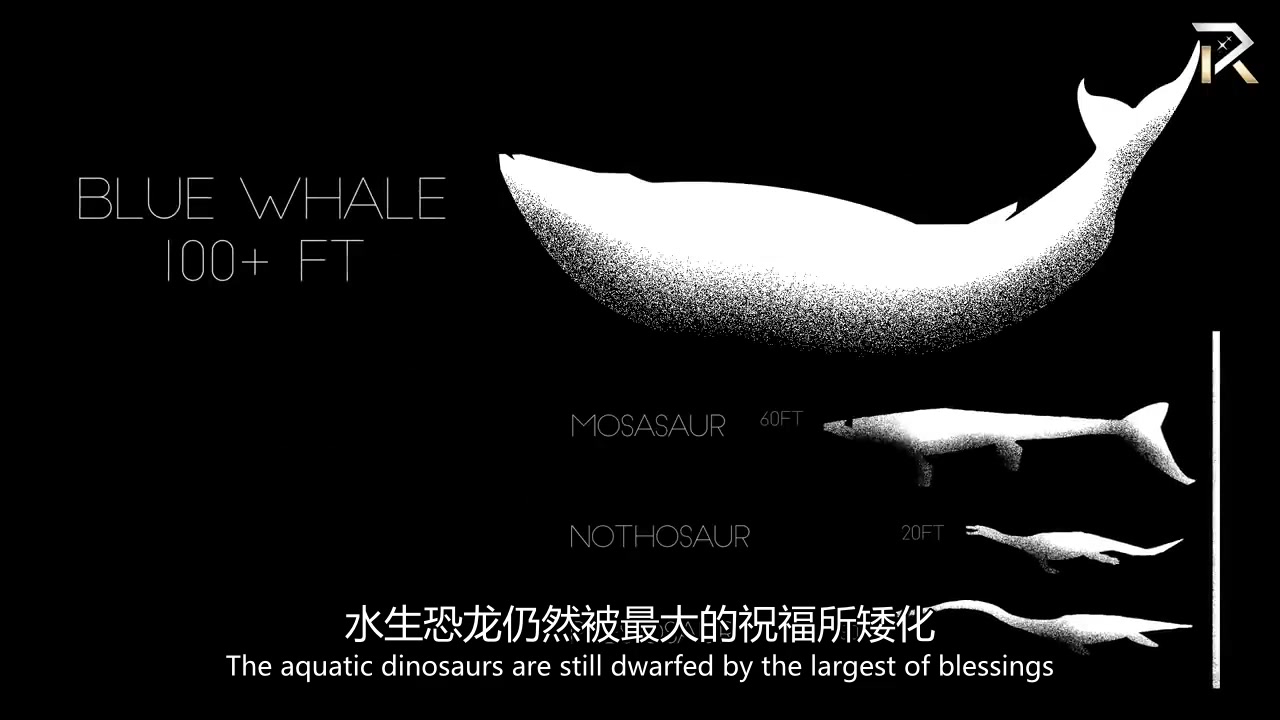 【你不知道】科学家发现" the bloop"背后的真实生物