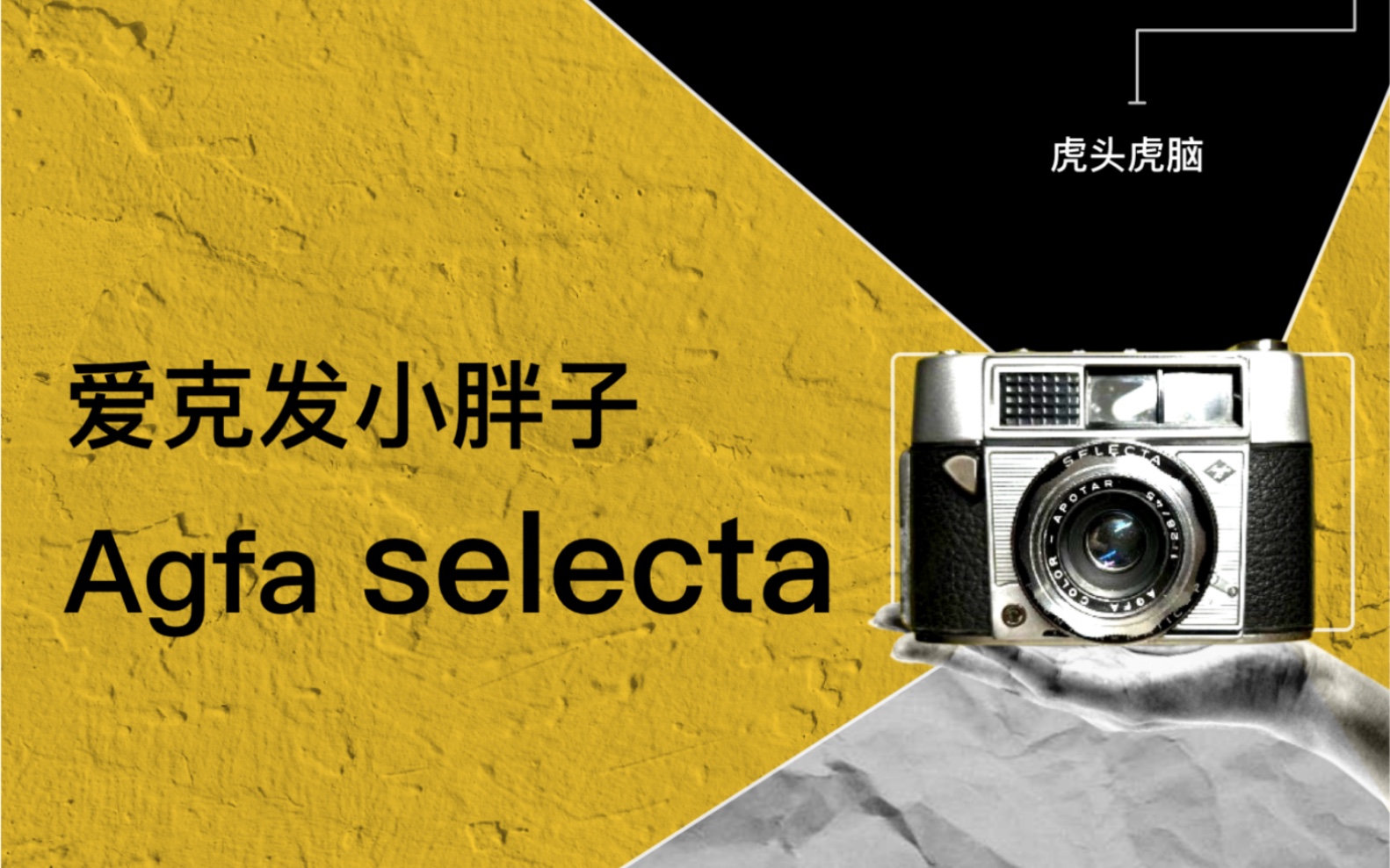 爱克发Agfa selecta,胖胖的,挺可爱,旁轴相机、胶片相机、胶卷相机、机械相机哔哩哔哩bilibili