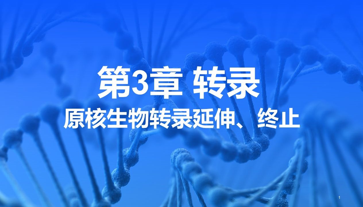 【分子生物学】第3章 转录 | 第3节 RNA的转录 | 原核生物转录过程(转录延伸、终止)哔哩哔哩bilibili