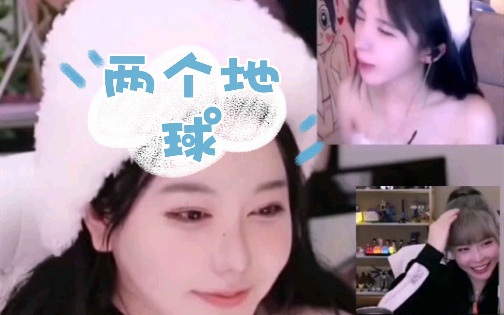 《厚礼蟹》哔哩哔哩bilibili