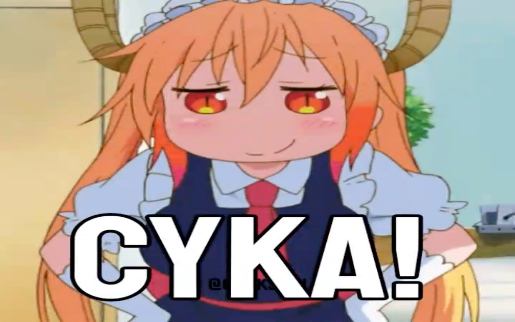 CYKA!哔哩哔哩bilibili