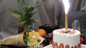 成功点燃烟花蜡烛的心酸日常s 哔哩哔哩 つロ干杯 Bilibili