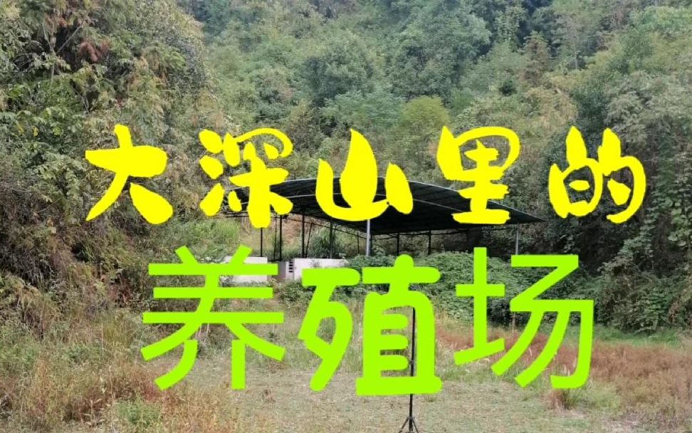 [图]农村大哥投资20多万元，建的养殖场如今却荒废了，实在是太可惜了